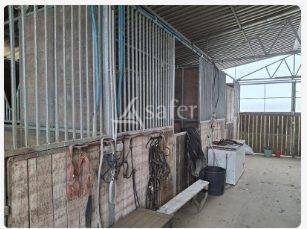 Explotación agrícola En venta Loira Atlántico