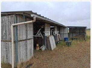 Explotación agrícola En venta Loira Atlántico