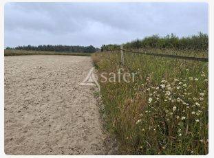 Explotación agrícola En venta Loira Atlántico