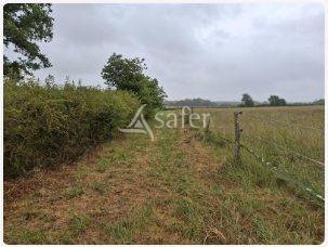 Explotación agrícola En venta Loira Atlántico