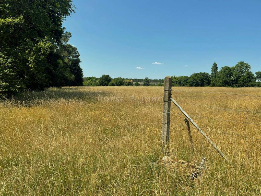 Propiedad ecuestre En venta Maine y Loira