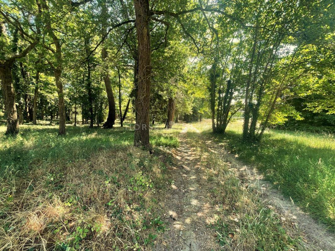 Propiedad ecuestre En venta Maine y Loira