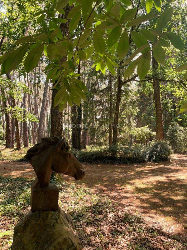 Propiedad ecuestre En venta Maine y Loira