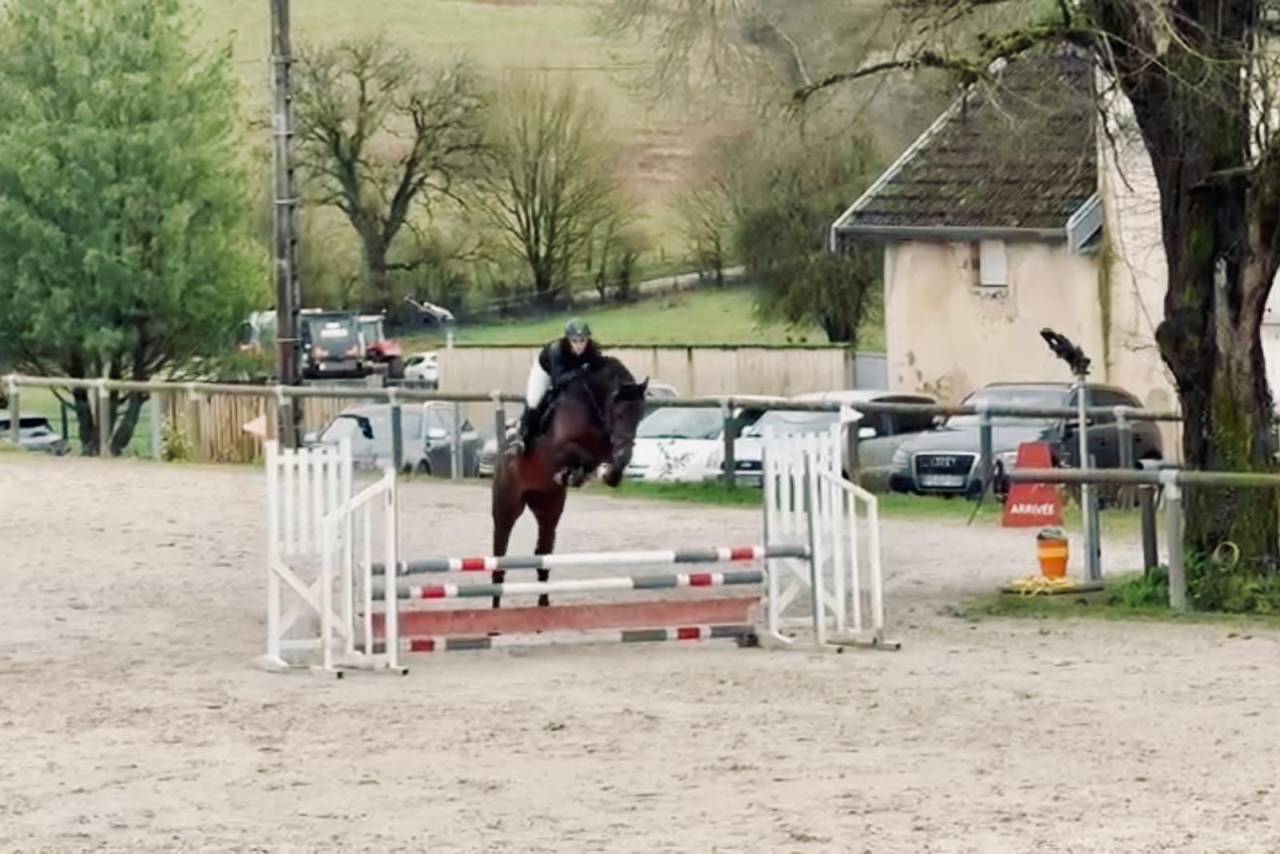 Potro Origine Constat&eacute;e En venta 2025 Bayo moreno por TOEMME DE REGOR Z