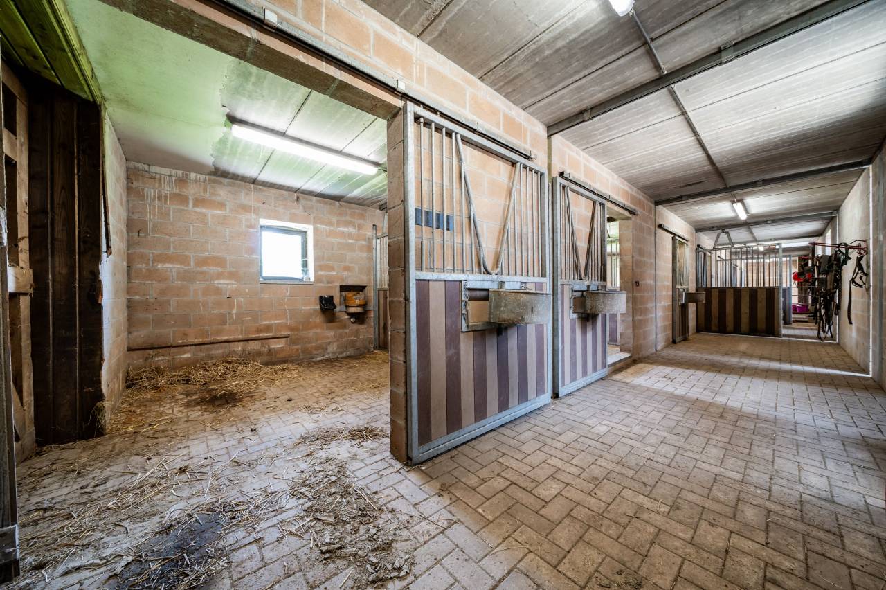 Bonita residencia ecuestre En venta Luxemburgo be