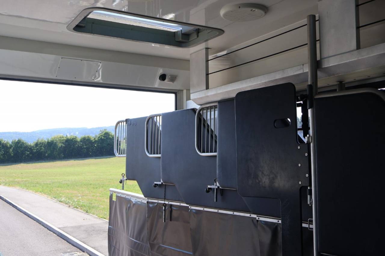 Camión para caballos AKX MERCEDES-ACTROS 2018 De segunda mano