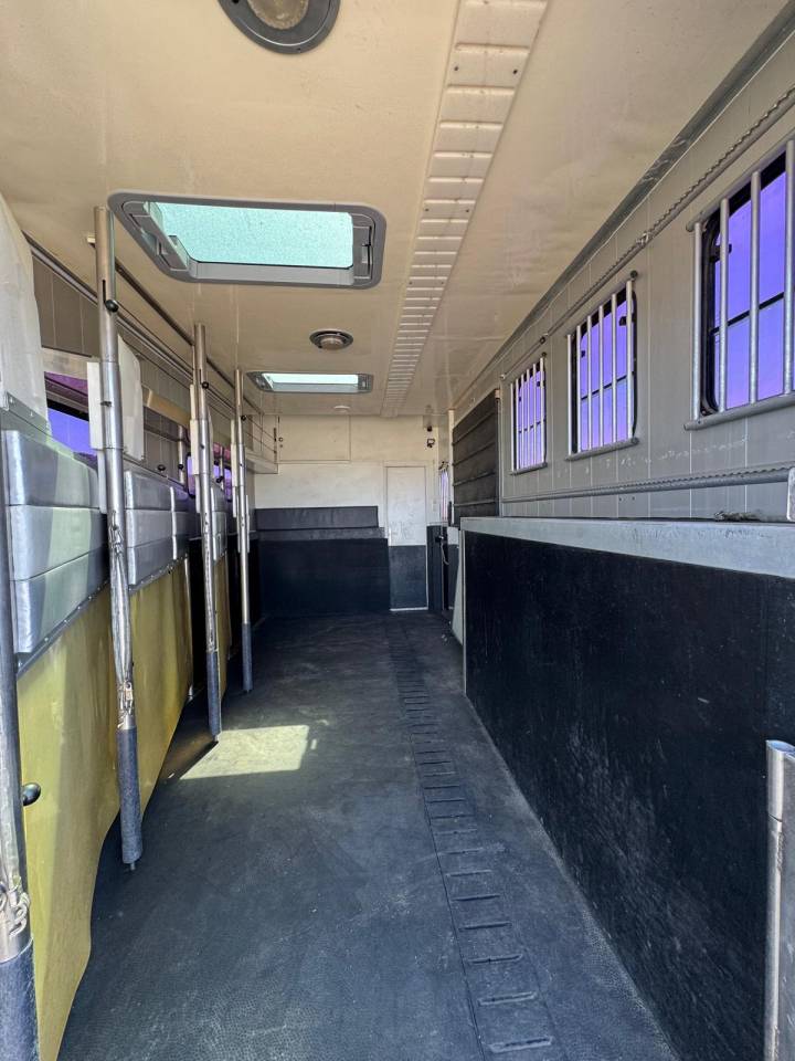 Camión para caballos Iveco STX 2007 De segunda mano