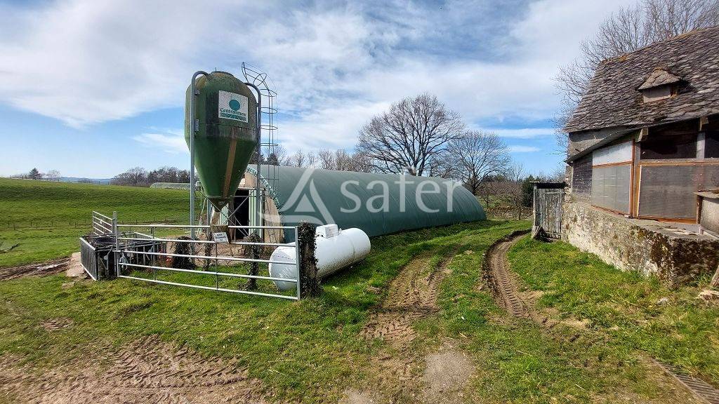 Explotación forestal En venta Corrèze