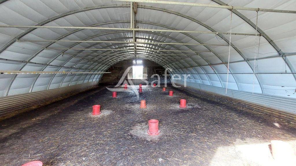 Explotación forestal En venta Corrèze