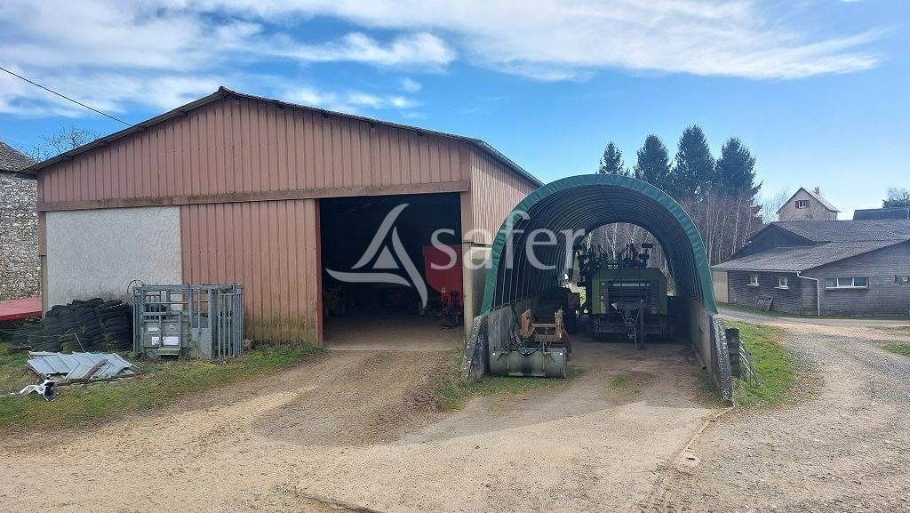 Explotación forestal En venta Corrèze