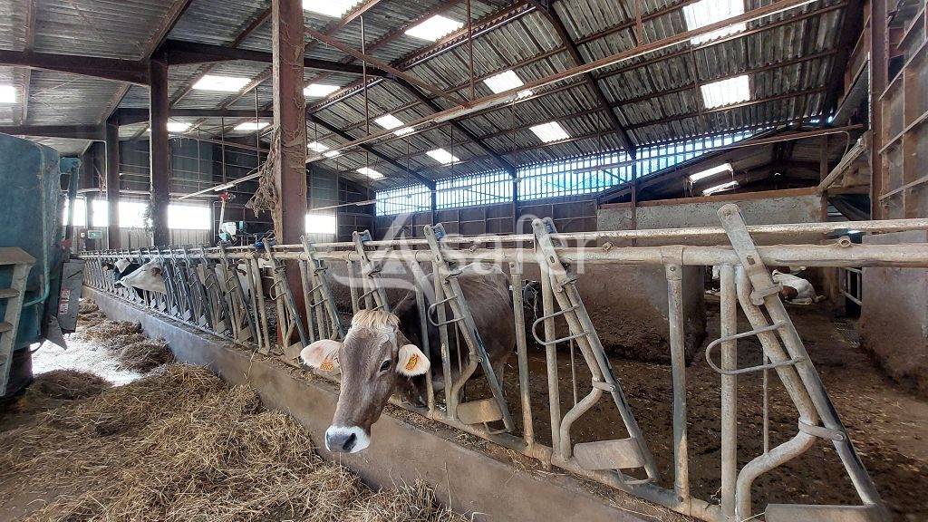 Explotación forestal En venta Corrèze