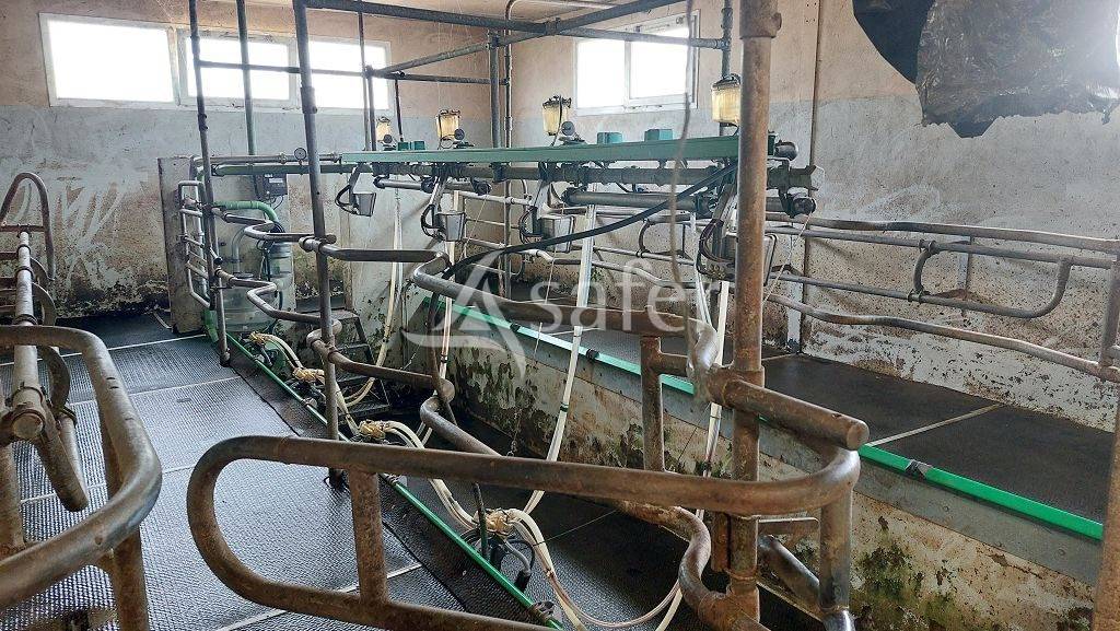 Explotación forestal En venta Corrèze