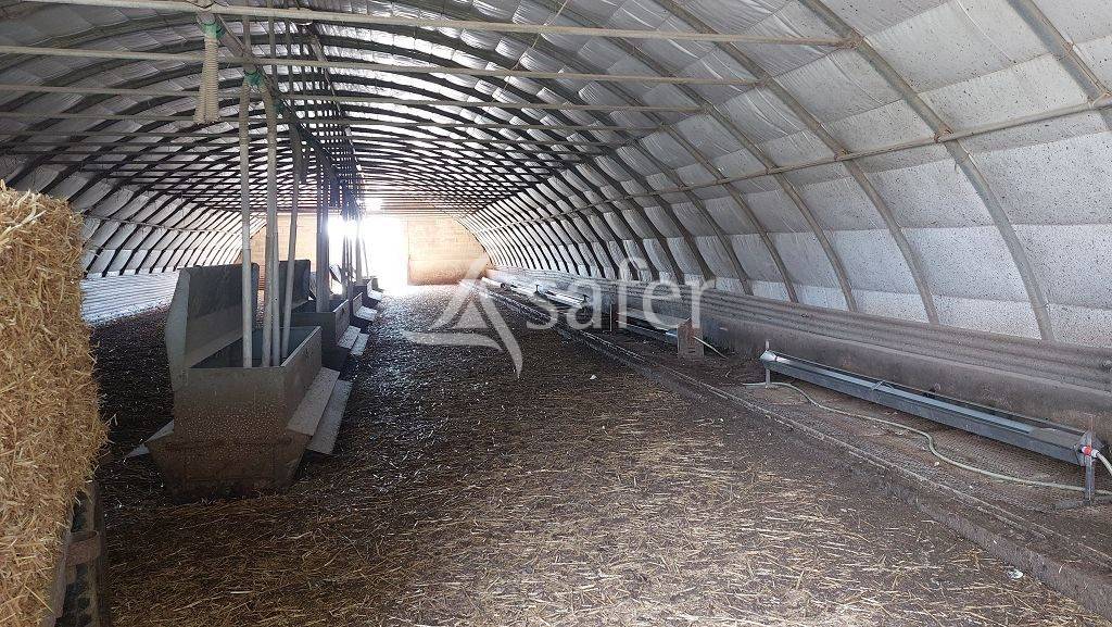 Explotación forestal En venta Corrèze