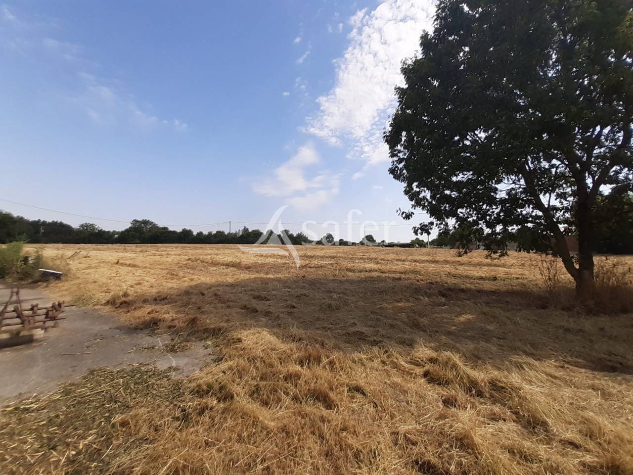 Explotación agrícola En venta Deux-Sèvres