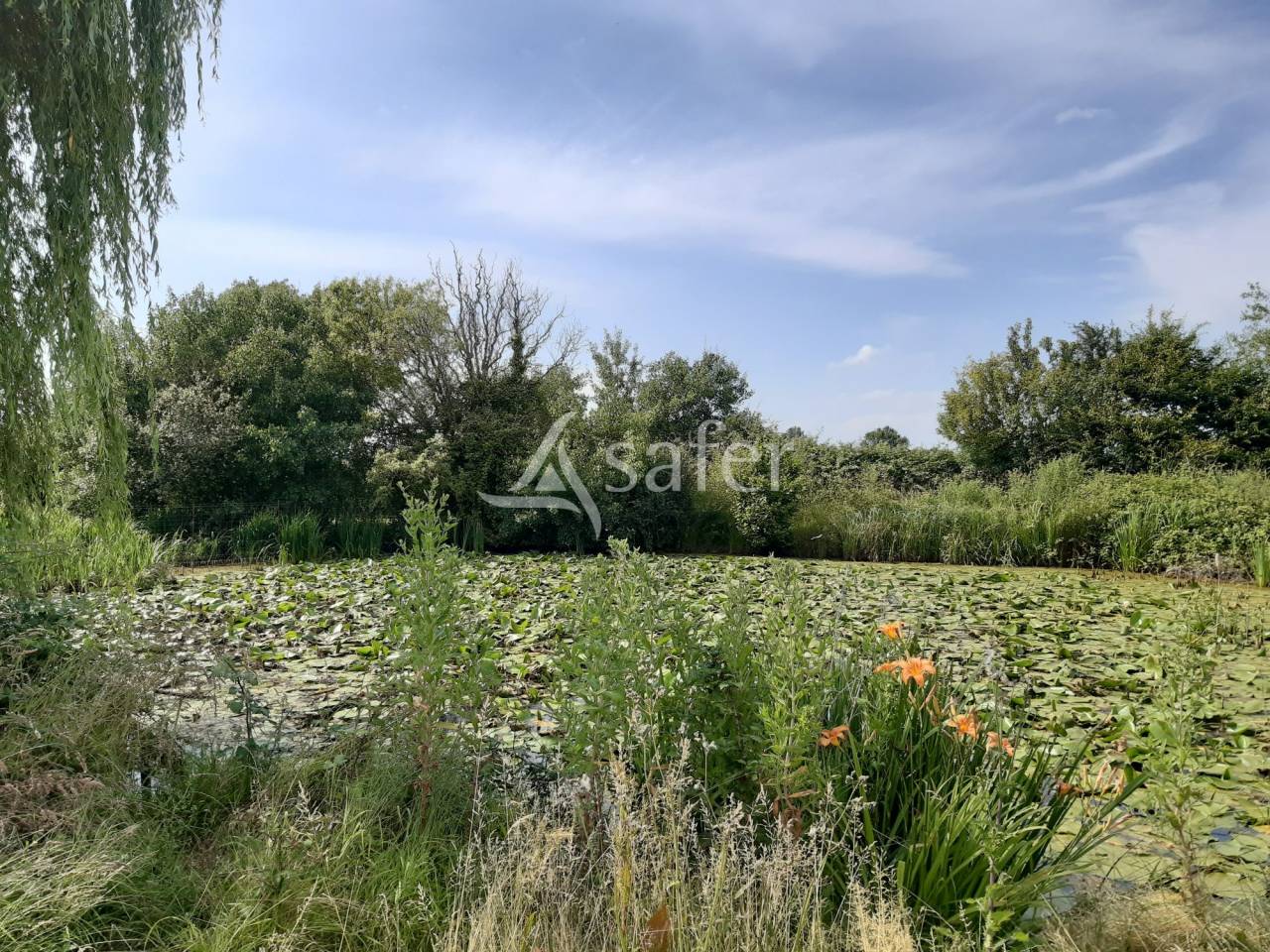 Propiedad rural En venta Vienne