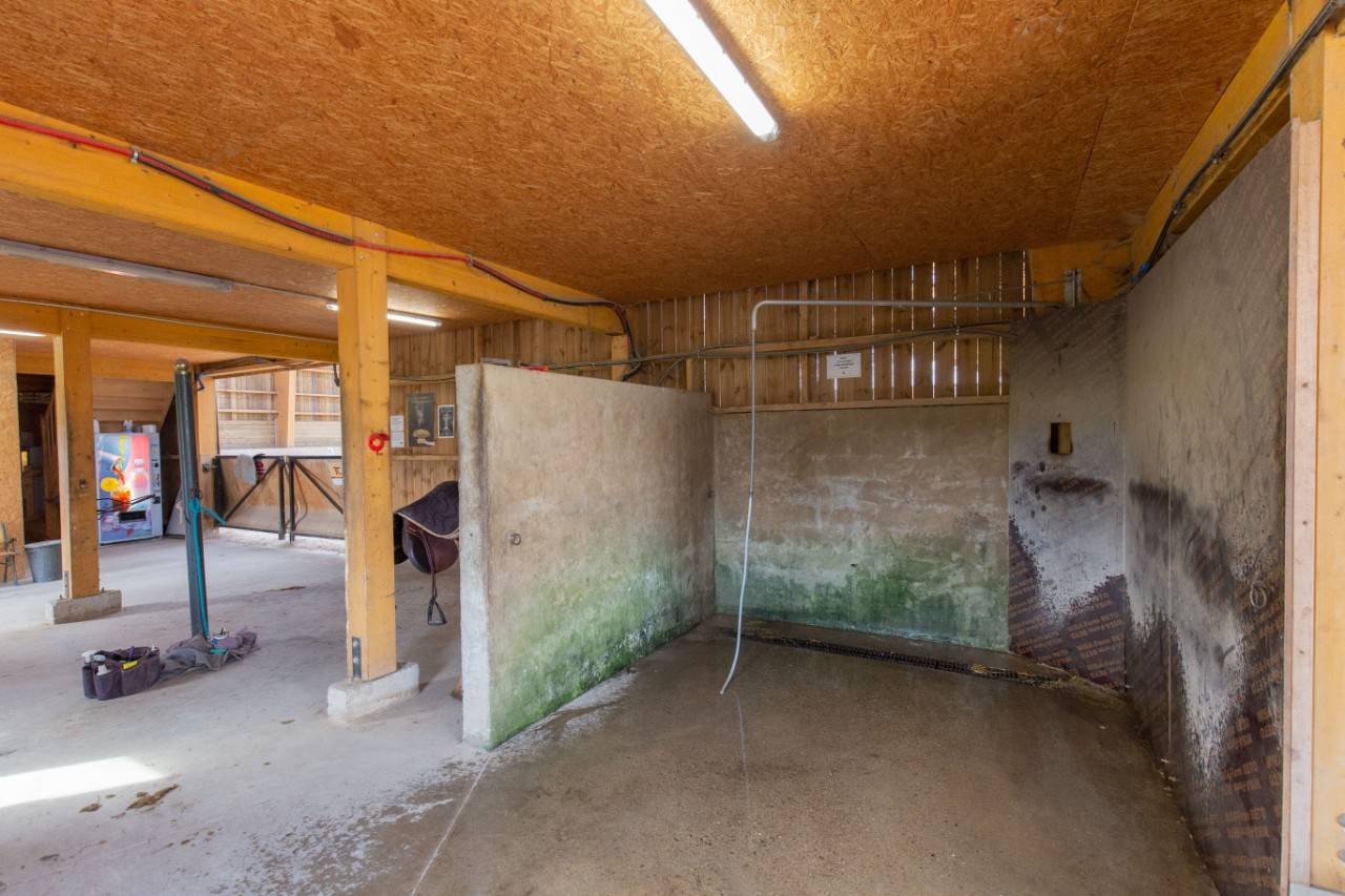 Cuadra de propietarios En venta Ródano