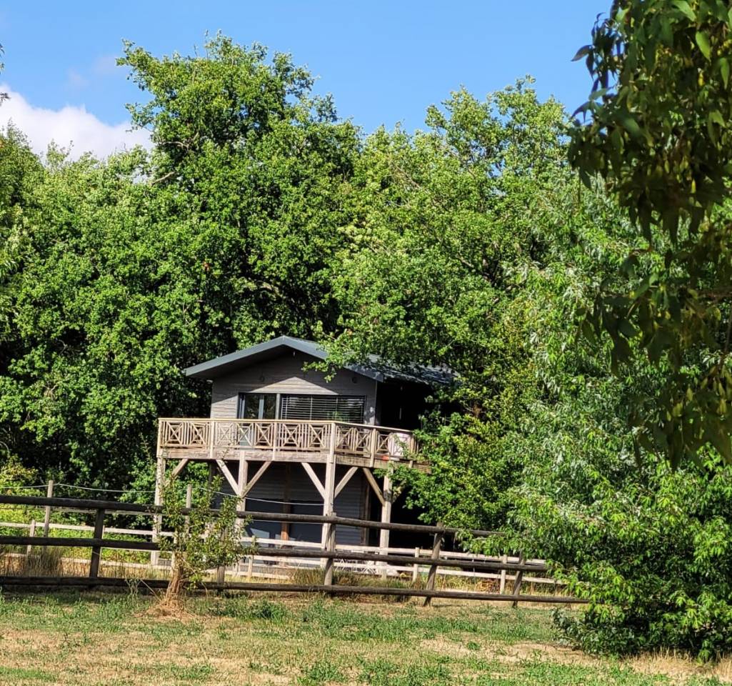 Bonita residencia ecuestre En venta Charente Marítimo