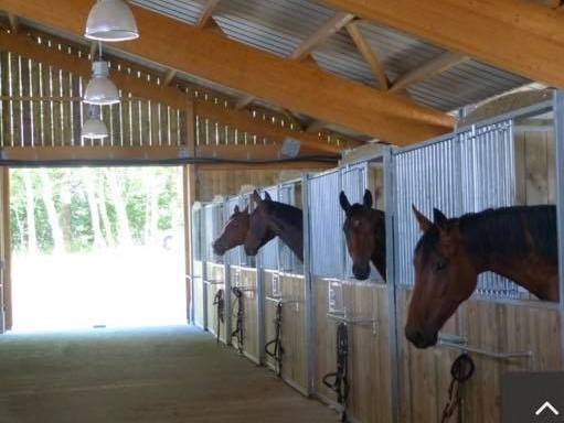 Bonita residencia ecuestre En venta Charente Marítimo