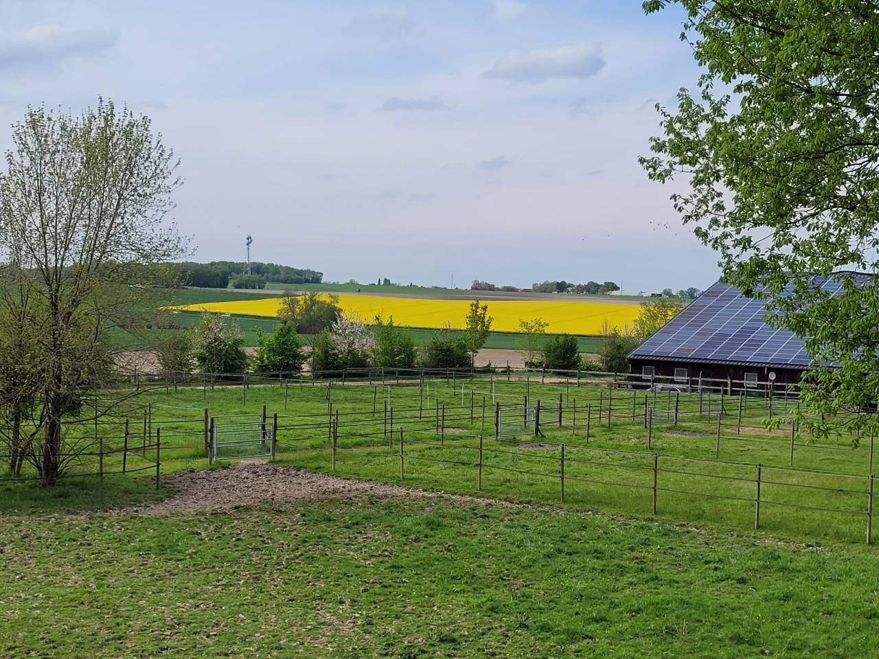 Bonita residencia ecuestre En venta Charente Marítimo