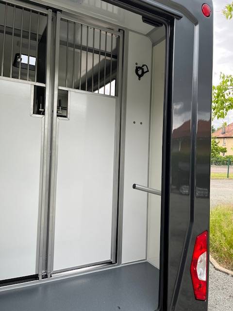 Furgoneta para caballos STX Master 2025 2025 Nuevo