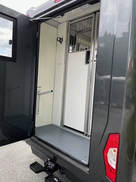 Furgoneta para caballos STX Master 2025 2025 Nuevo