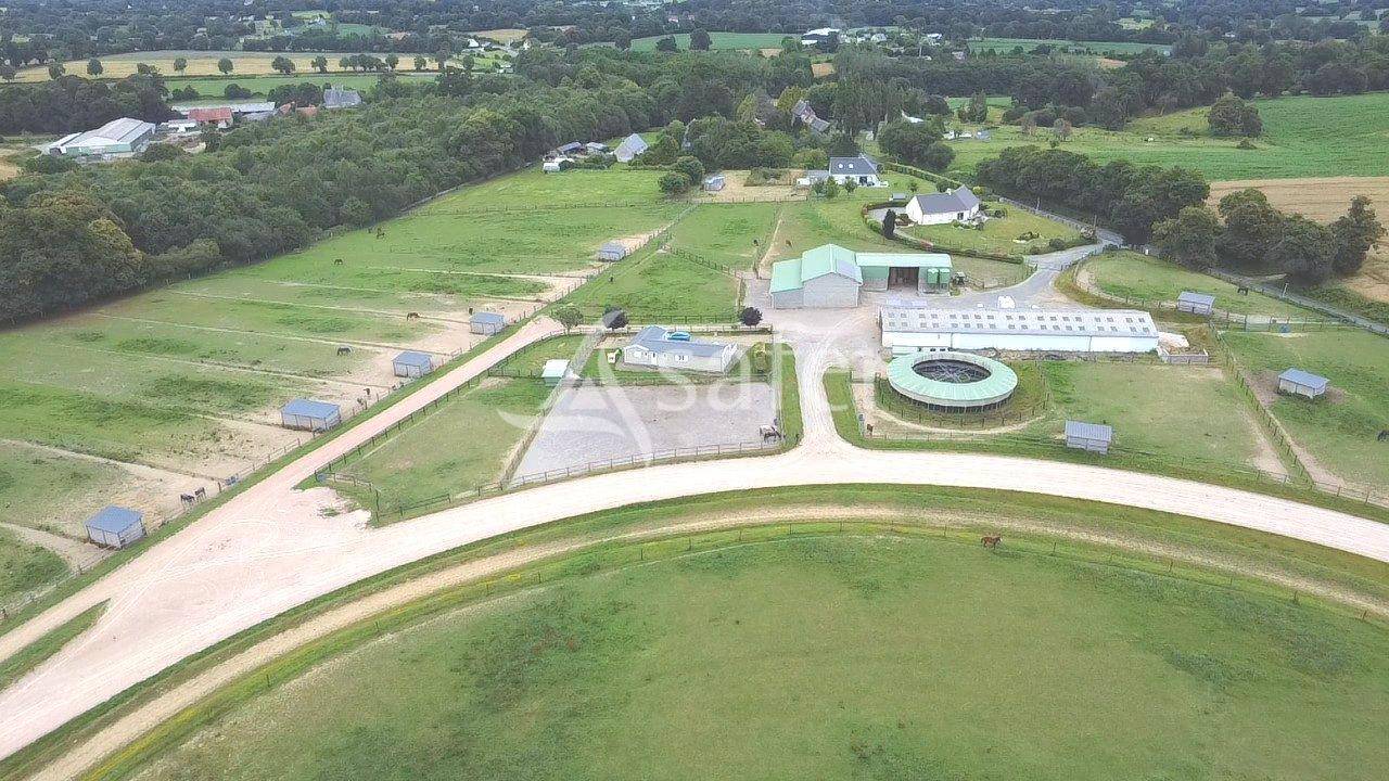 Propiedad ecuestre En venta Mancha