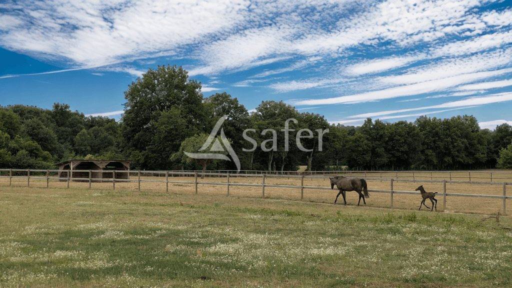 Propiedad ecuestre En venta Maine y Loira