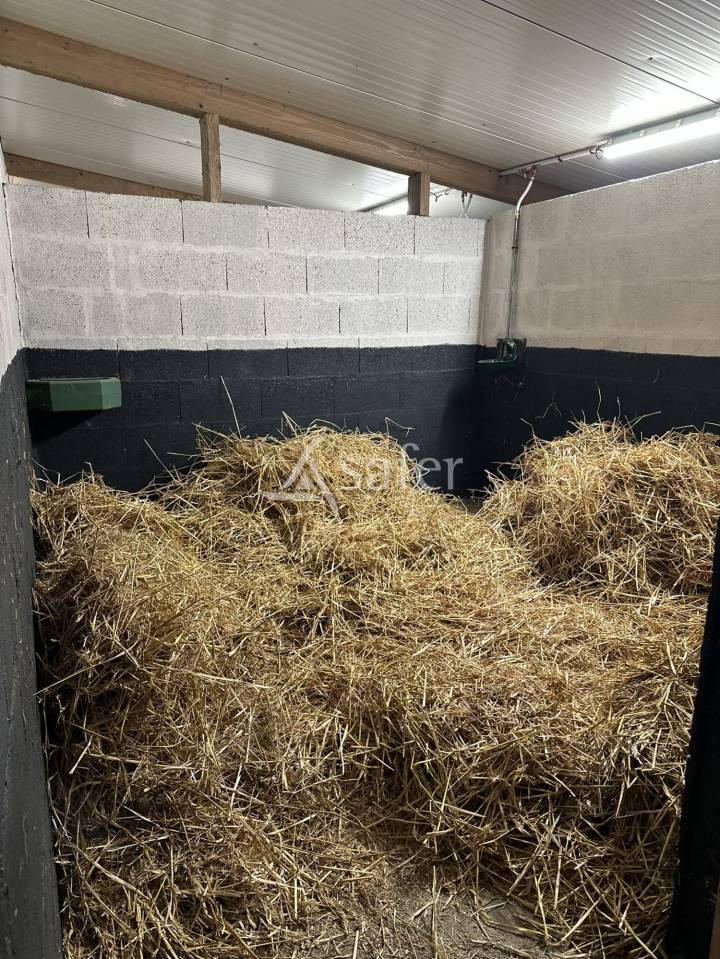 Propiedad ecuestre En venta Maine y Loira