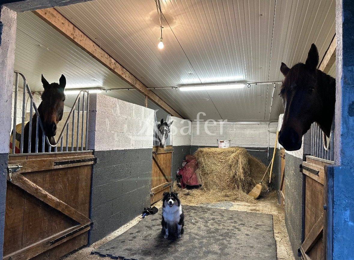 Propiedad ecuestre En venta Maine y Loira