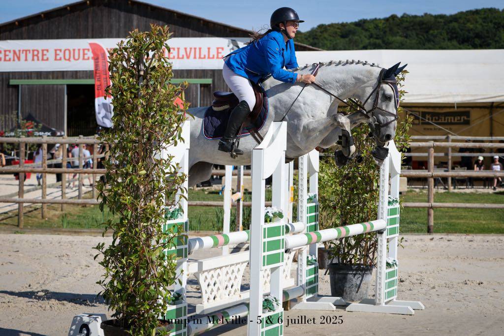 Yegua Silla Francés En venta 2018 Tordo por Donatello du Bailly – SF
