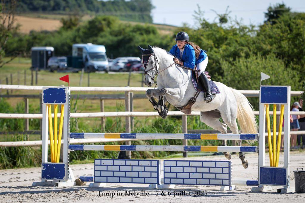 Yegua Silla Francés En venta 2018 Tordo por Donatello du Bailly – SF