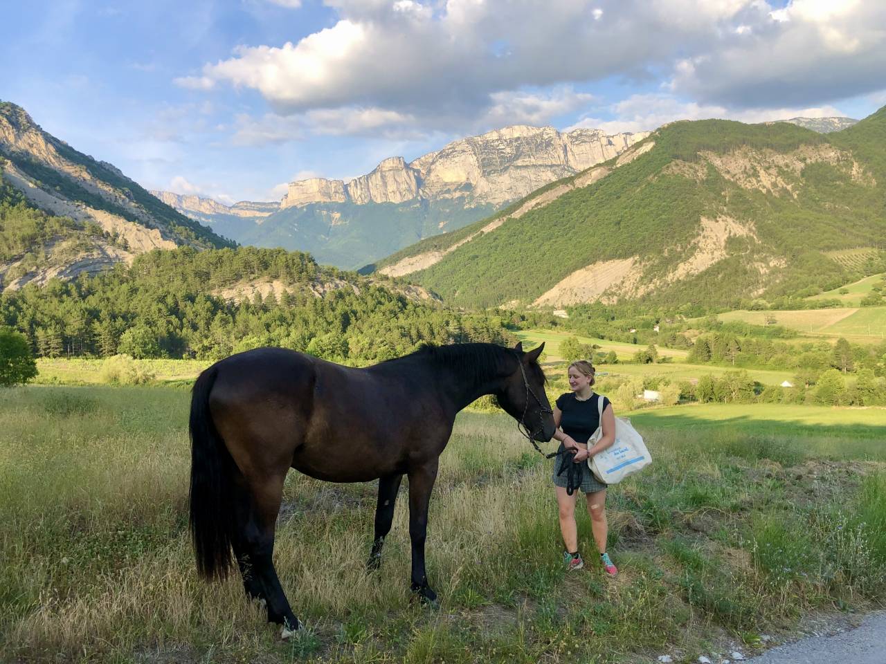 Caballo castrado Origine Constatée En venta 2023 Bayo moreno por Eole des Sautes
