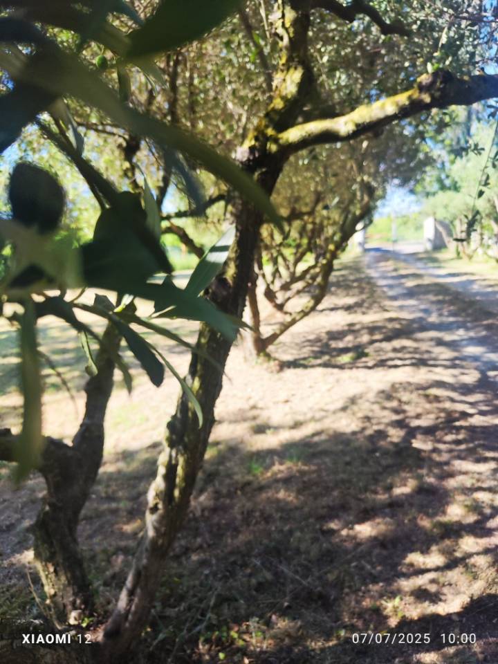 Propiedad ecuestre En venta Gard