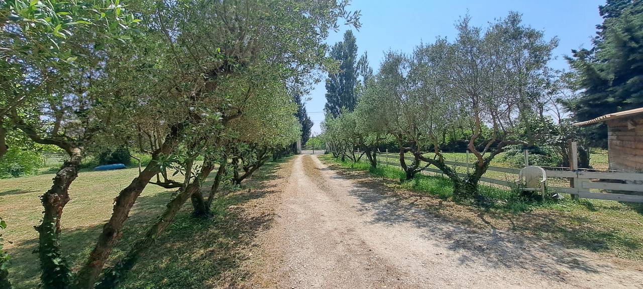 Propiedad ecuestre En venta Gard