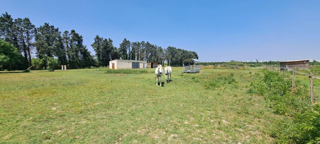 Propiedad ecuestre En venta Gard