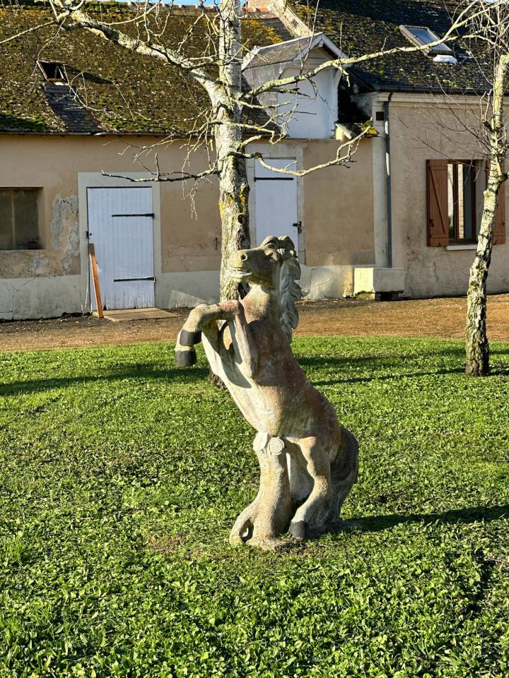 Acaballadero En venta Sarthe