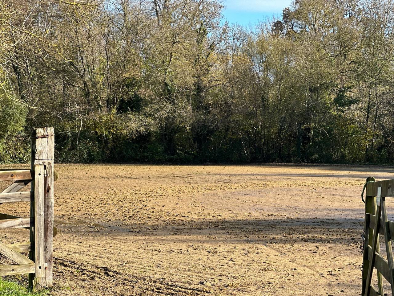 Acaballadero En venta Sarthe