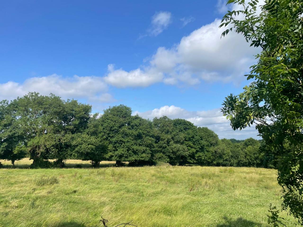 Propiedad ecuestre En venta Deux-Sèvres