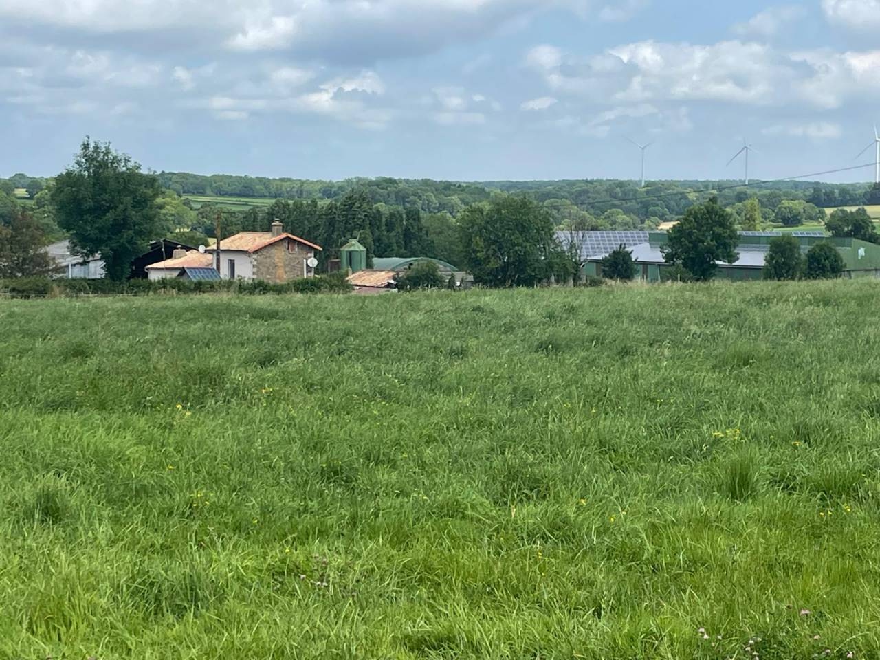 Propiedad ecuestre En venta Deux-Sèvres