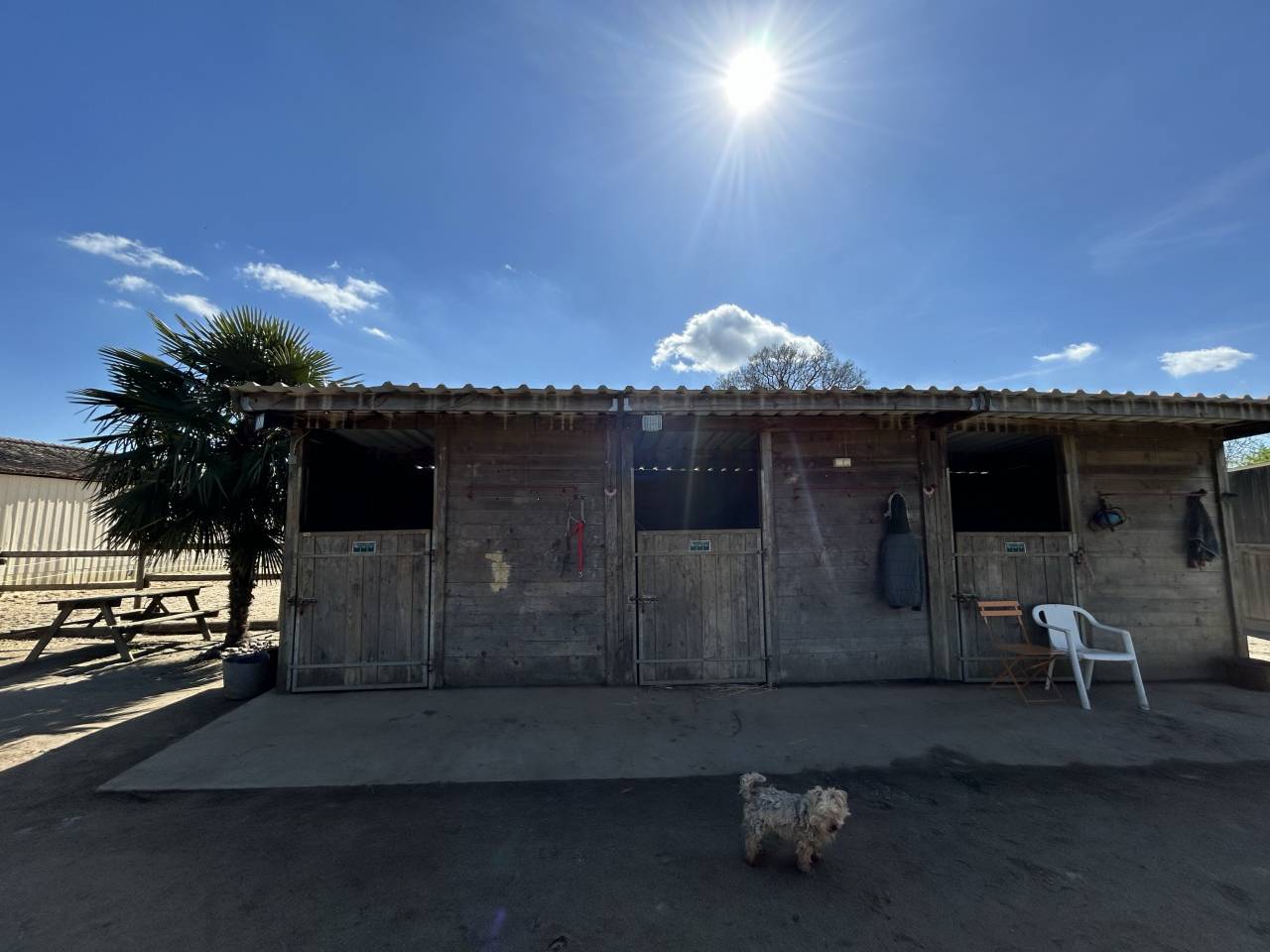 Bonita residencia ecuestre En venta Vienne