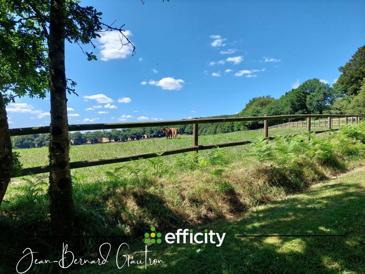 Propiedad ecuestre En venta Côte d'Armor