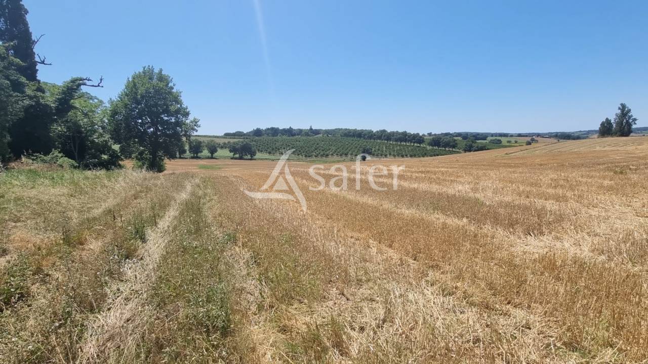 Explotación agrícola En venta Gers