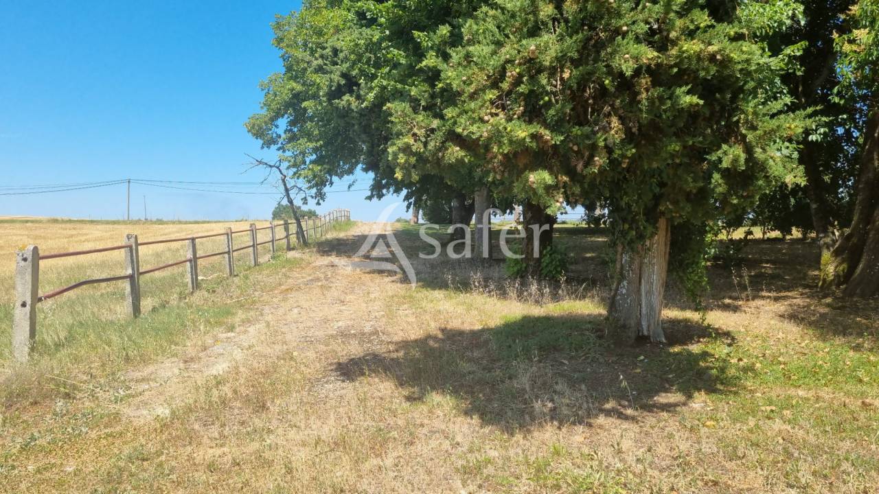 Explotación agrícola En venta Gers