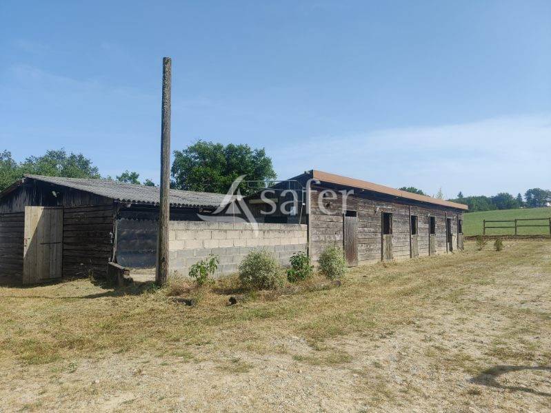 Propiedad ecuestre En venta Tarn