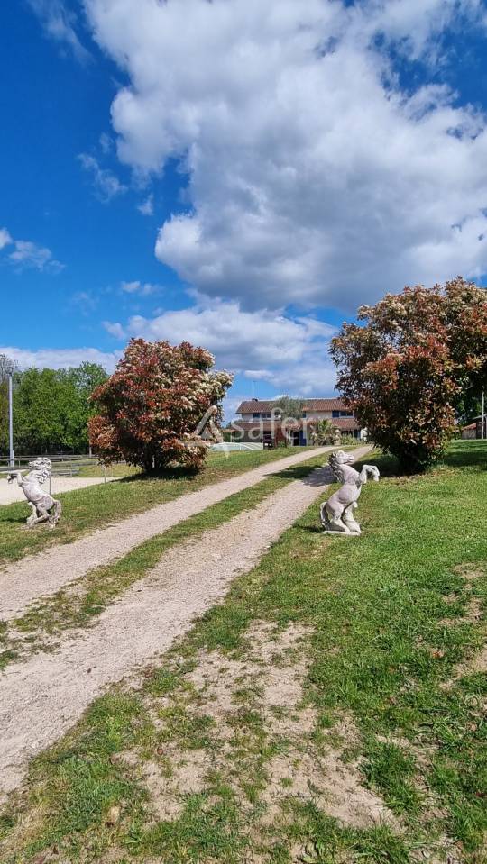 Propiedad ecuestre En venta Tarn