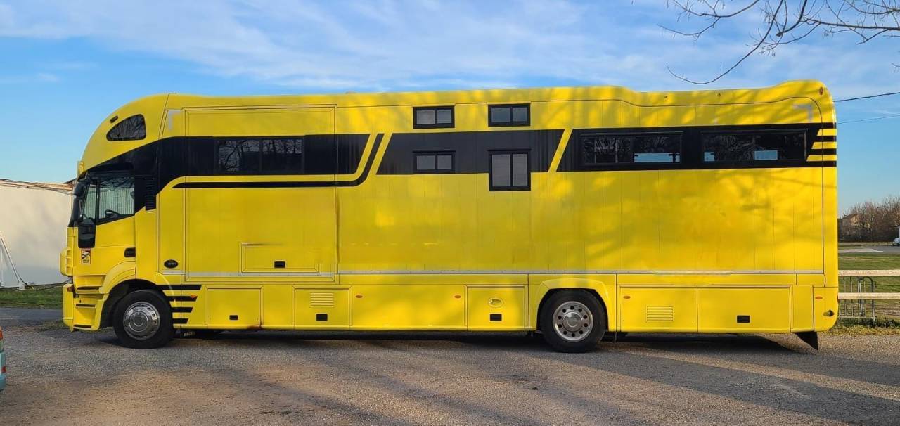 Camión para caballos Iveco STRALIS 19/360 2012 De segunda mano