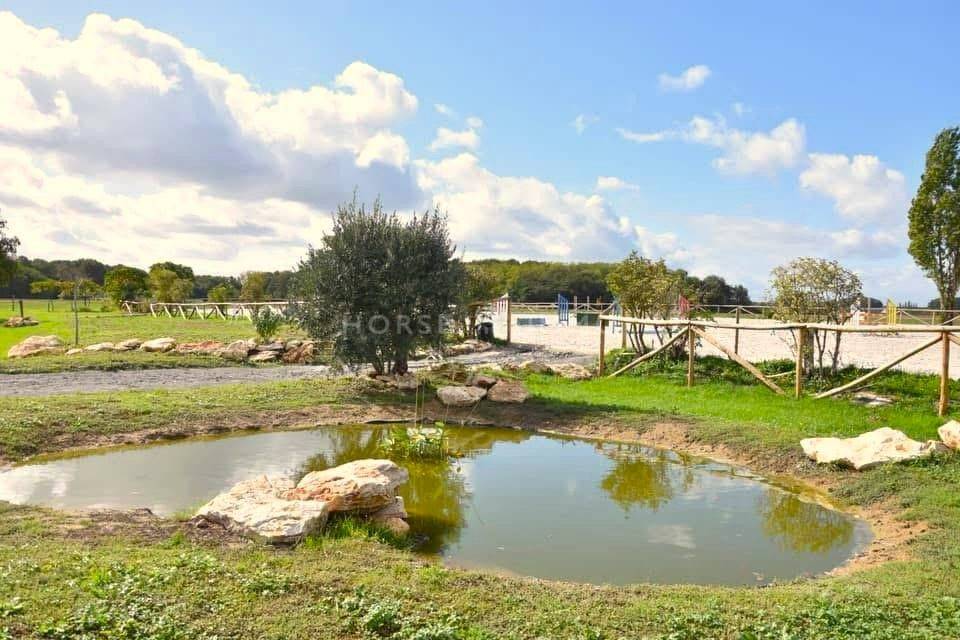 Acaballadero En venta Indre y Loira