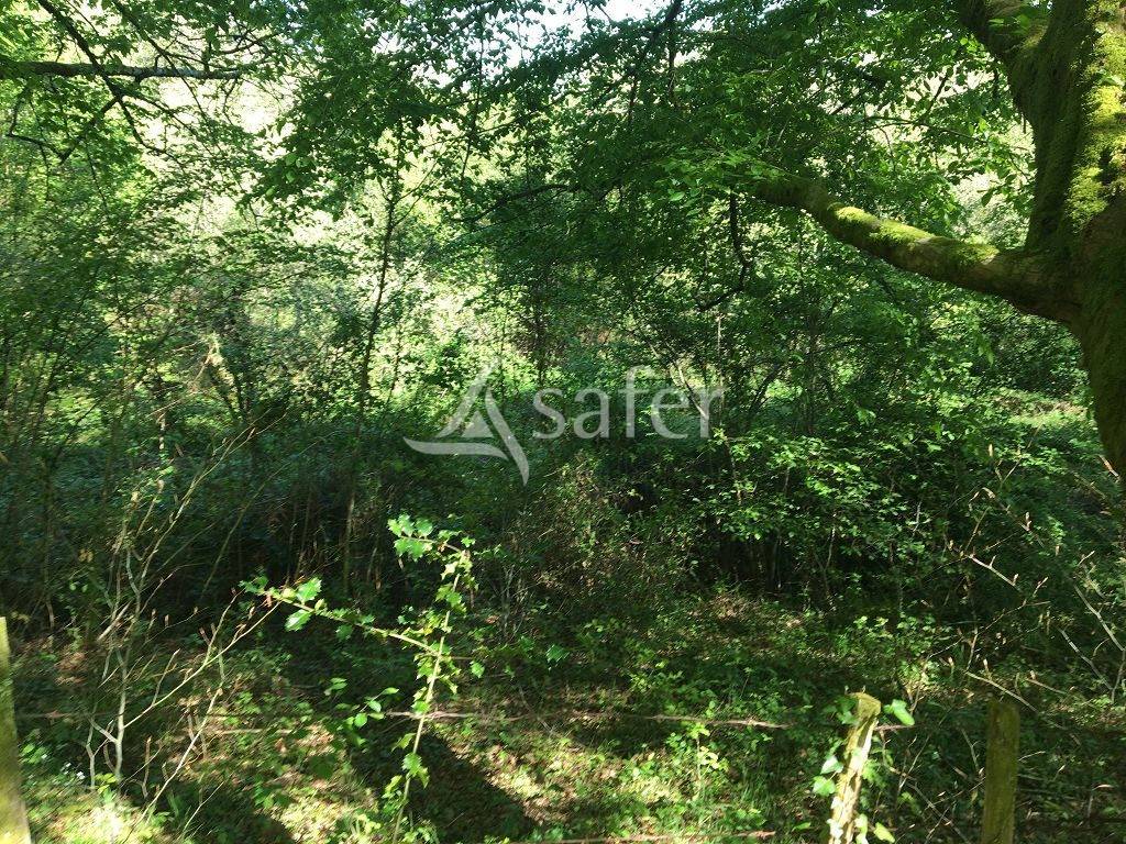 Propiedad rural En venta Corrèze