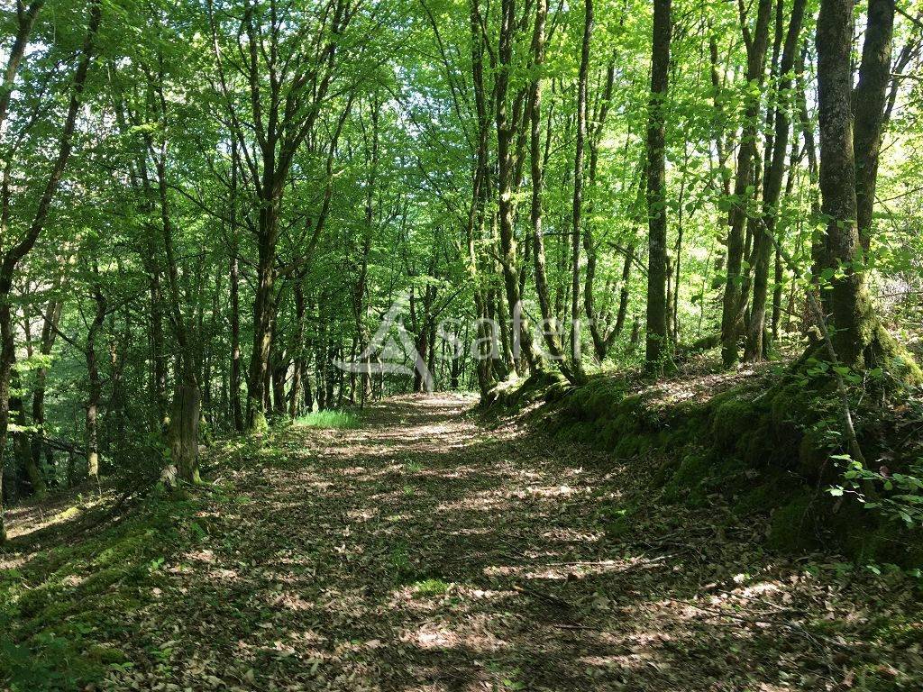 Propiedad rural En venta Corrèze