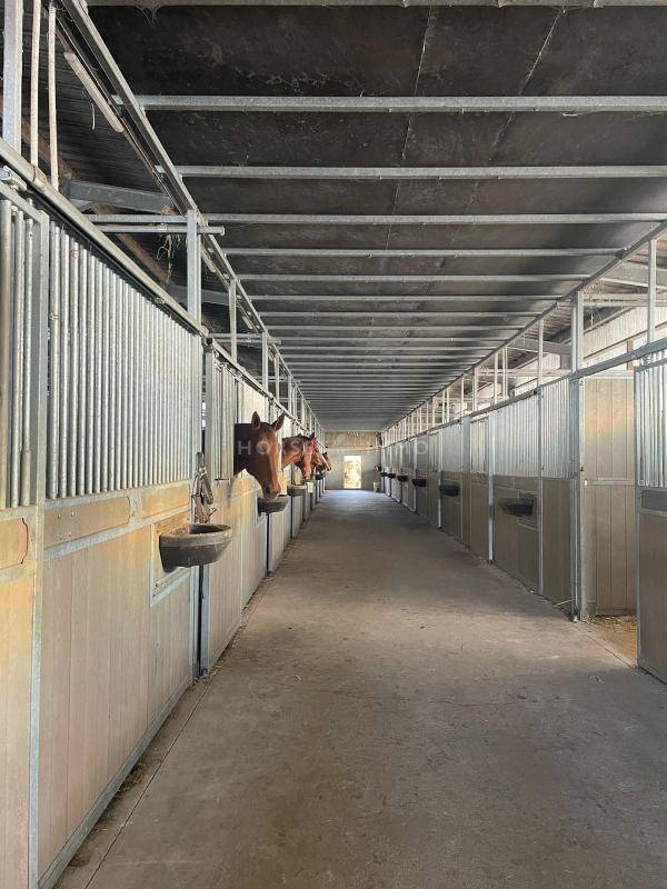 Propiedad ecuestre En venta Morbihan